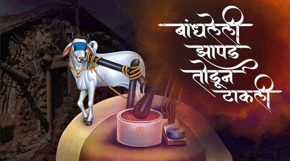 Story_of_teli o.b.c.